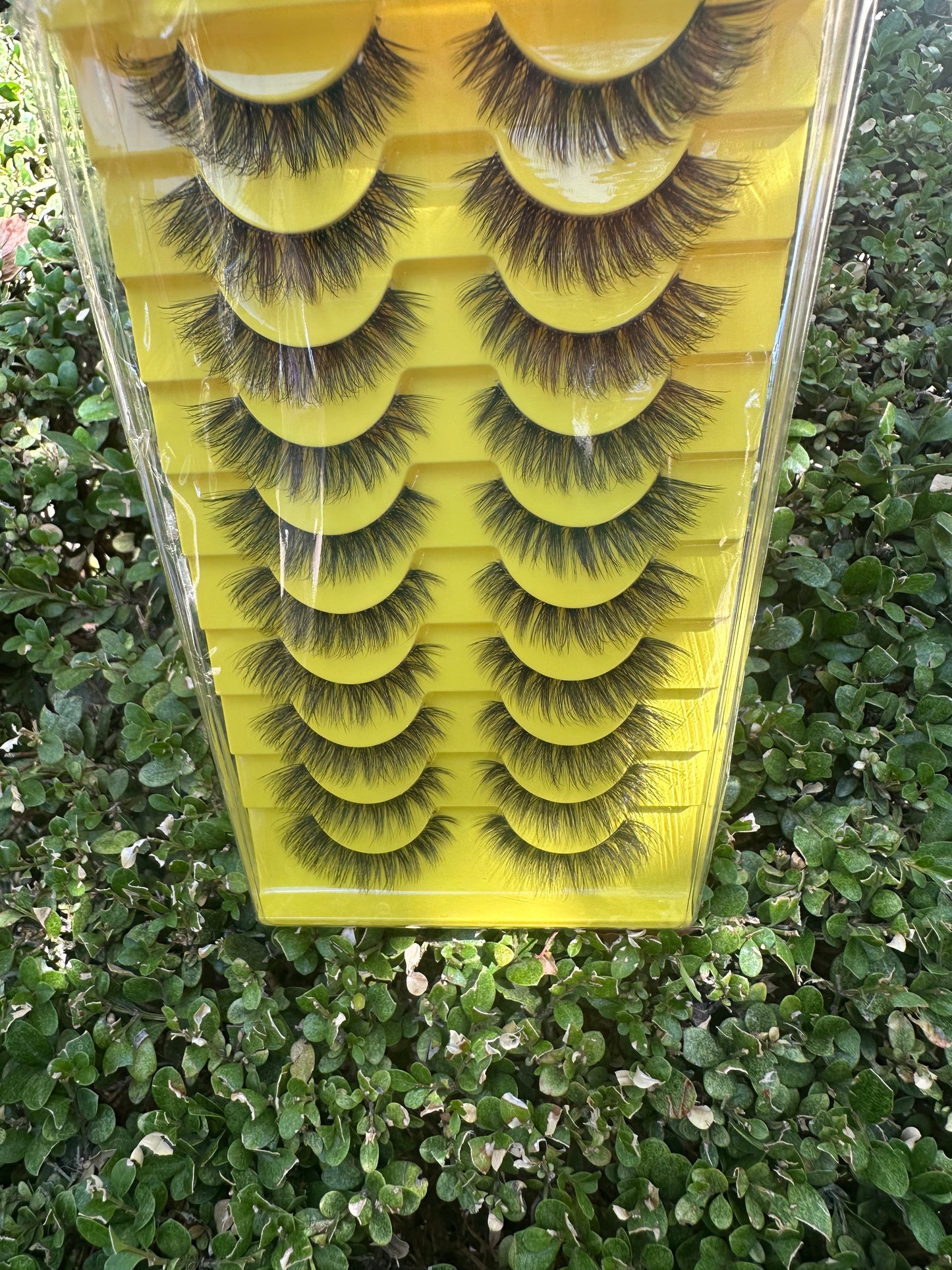 Ms Lash lady
