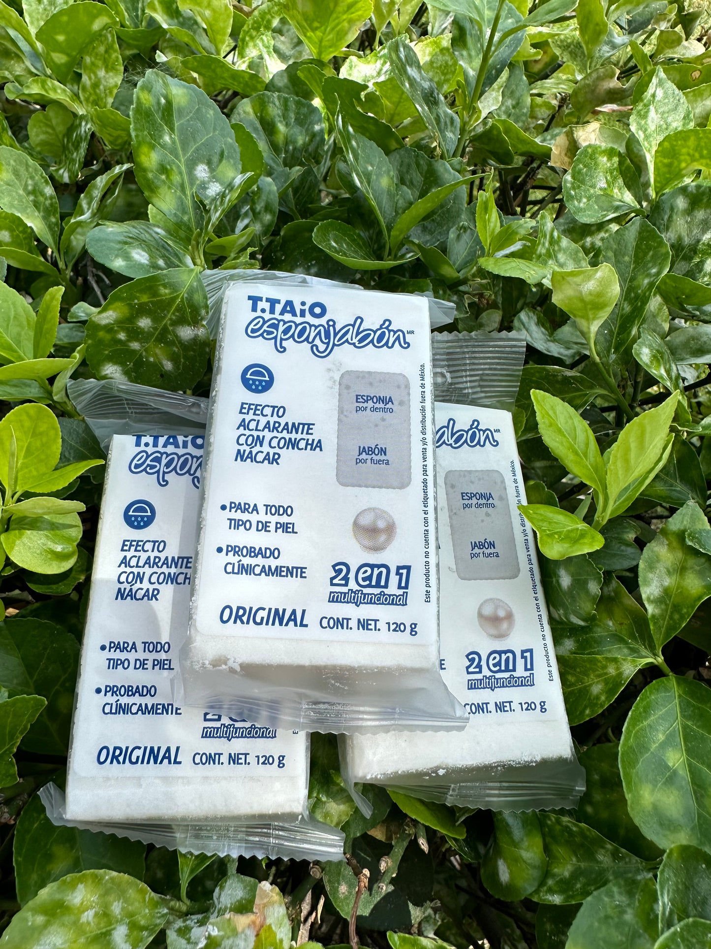 Esponjabon de conchanacar