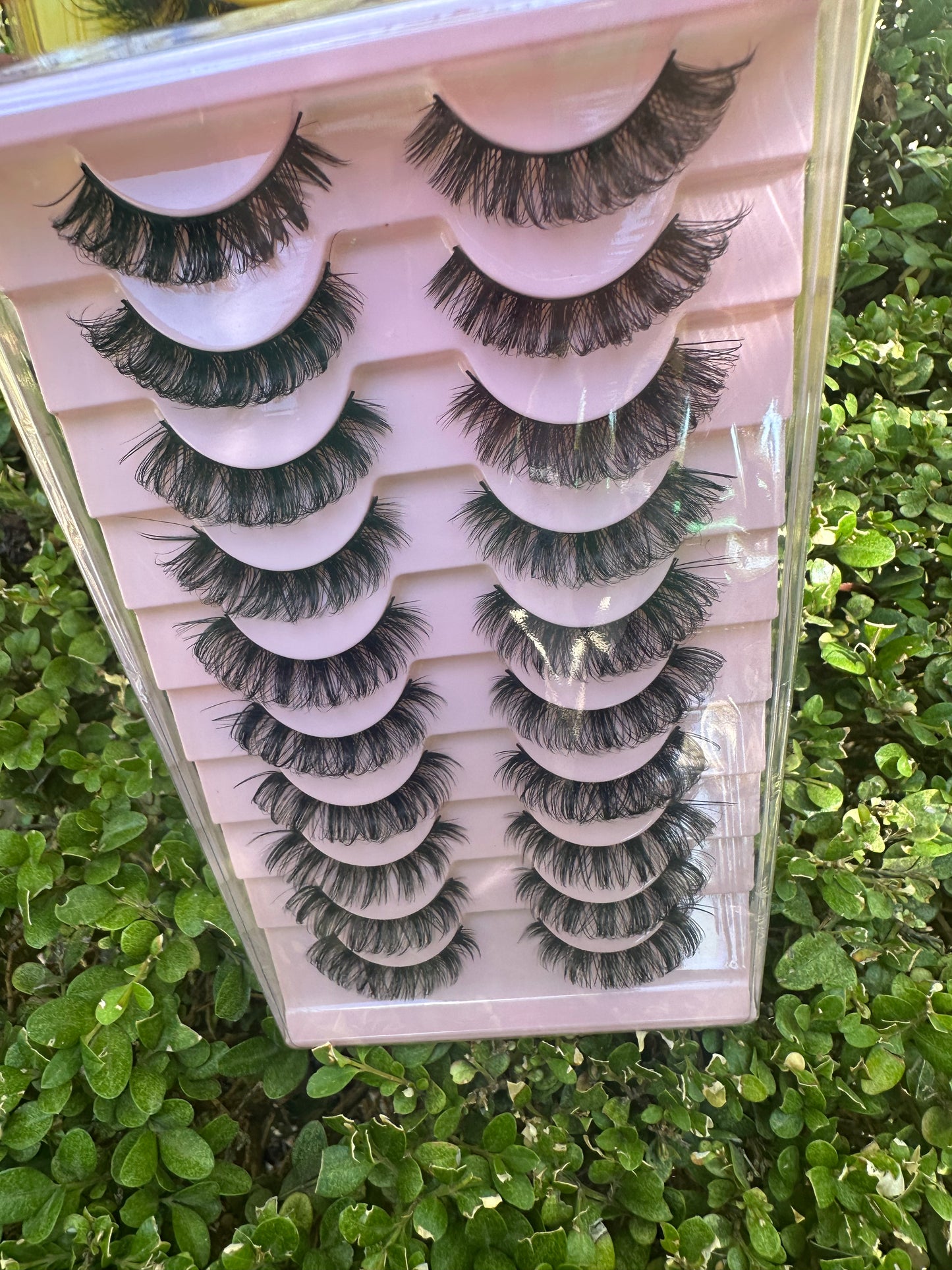 Ms Lash lady
