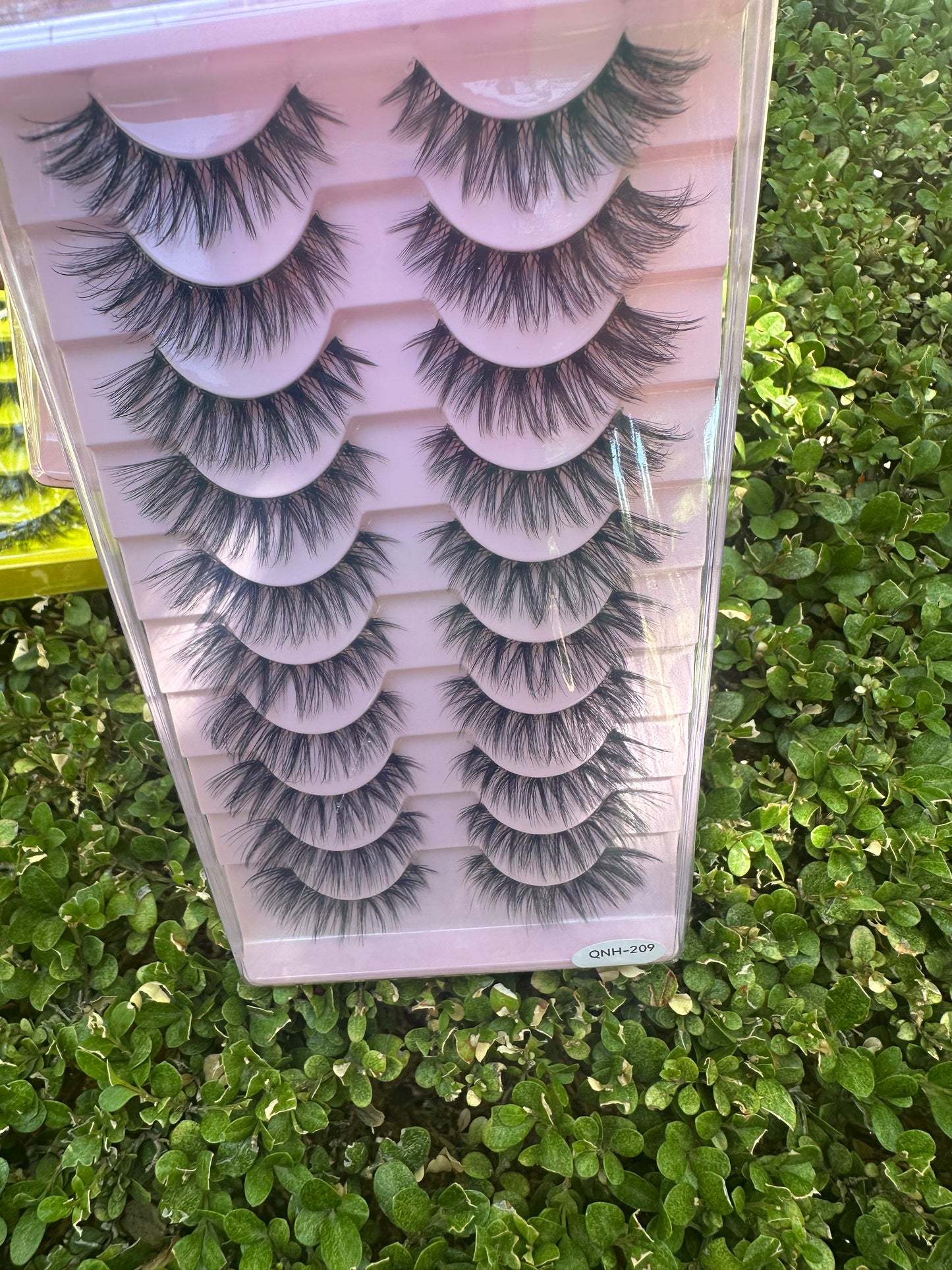 Ms Lash lady